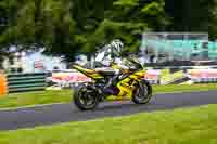 Middle Group Yellow Bikes